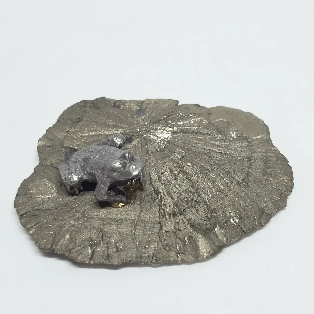Frog On Pyrite Sun Shiny Miner’s Dollar Fools Gold Illinois Gift Paperweight